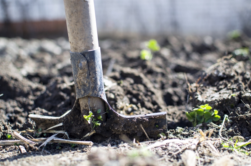 jardinerie-ROQUEBRUNE SUR ARGENS-min_equipment-2047314